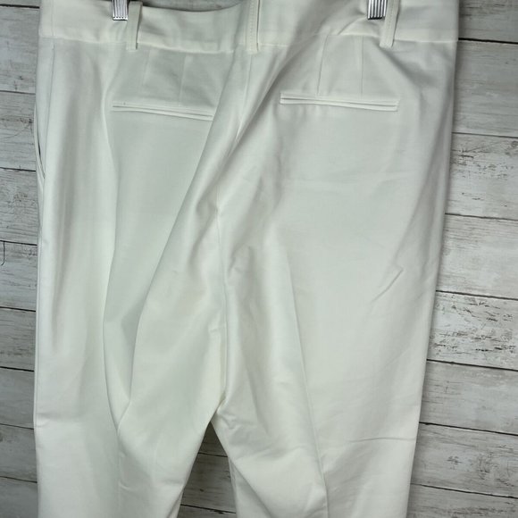 Talbots Freeport White Women's Trouser Dress Pants Pleated Front Plus SZ16 NWT - Picture 4 of 9